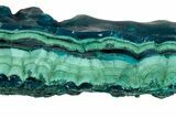 Vibrant Teal Botryoidal Chrysocolla and Malachite - Chile #310118-1